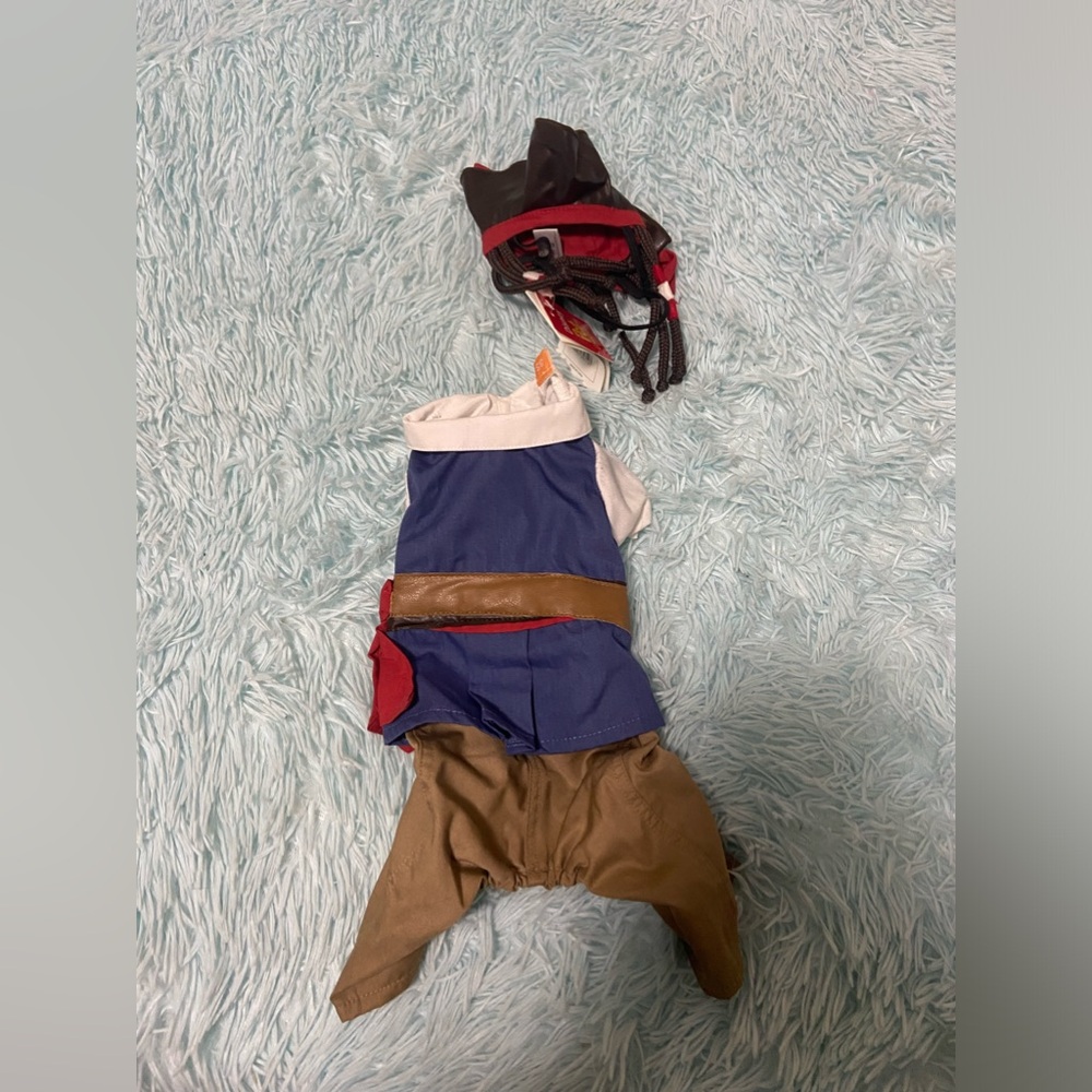 Pirates of the Caribbean dog costume